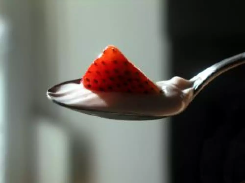 Výroba domácího jogurtu v jogurtovači