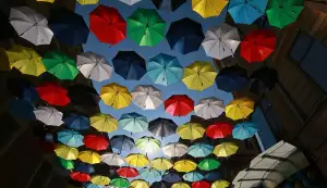 Nadace DRFG Davida Rusňáka může být na letošní galerii barevných deštníků pyšná