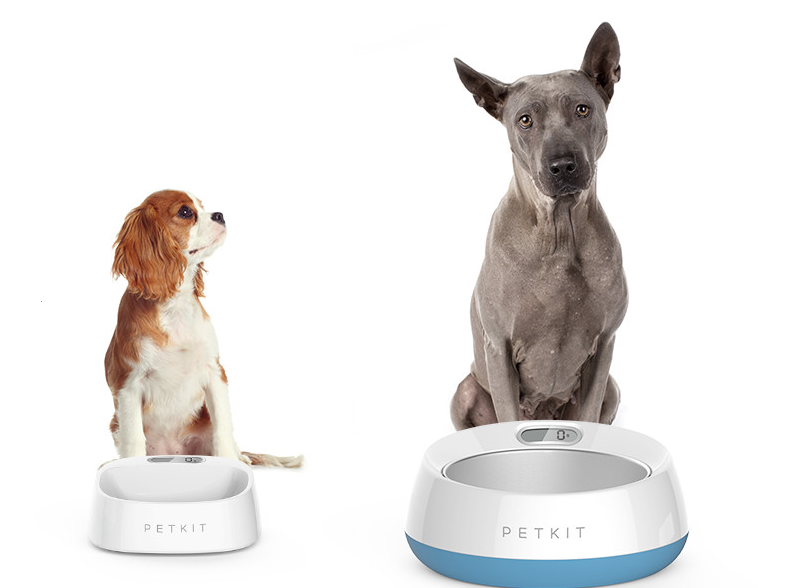 Luxusní potřeby pro psy - Smart miska PetKit