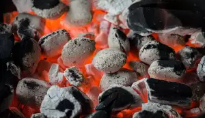 Čím je nejlepší topit v grilu při letních grilovačkách?
