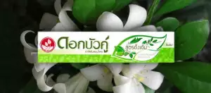 Recenze Twin Lotus: Přírodní thajská bylinná zubní pasta s bělícím účinkem
